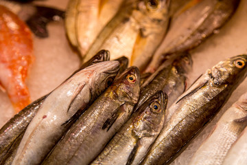 Different kinds of fish for sale at a market