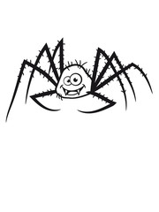 nasty little hairy spider