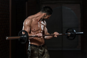 Fototapeta na wymiar Bodybuilder Exercising Biceps With Barbell