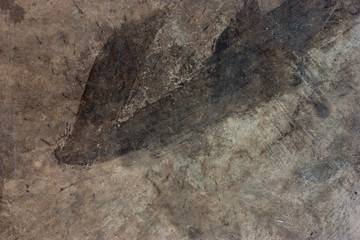 Cement floors are old and dirty.