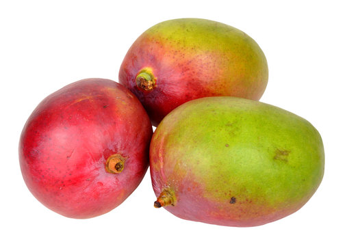 Fresh Ripe Mangoes