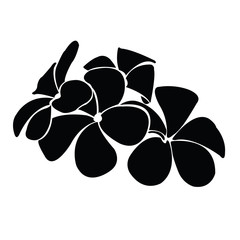 frangipani silhouettes for design vector - 93234954
