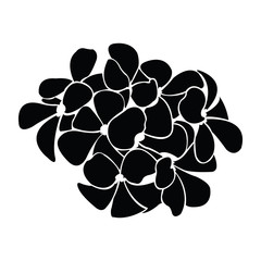 frangipani silhouettes for design vector - 93234970
