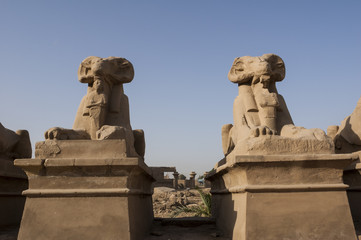 Fototapeta na wymiar Karnak Temple. Luxor, Egypt 