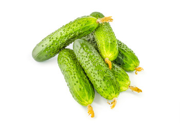 fresh cucumbers on white background