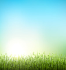 Obraz na płótnie Canvas Green grass lawn with sunrise on blue sky. Floral nature spring