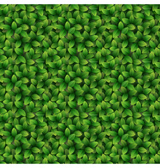 Green leaves seamless texture background