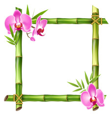 Green Bamboo Frame with Pink Orchid Flowers Isolated on White Ba