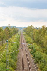 Fototapeta na wymiar Railway straight through the forest