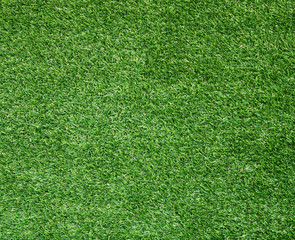 Obraz premium Beautiful green grass texture