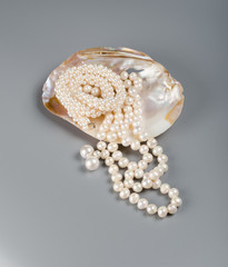 Beautiful necklace of white pearls in pearl