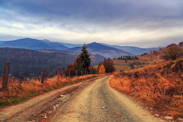 Colorful autumn road  landscape in the mountains in Transylvania