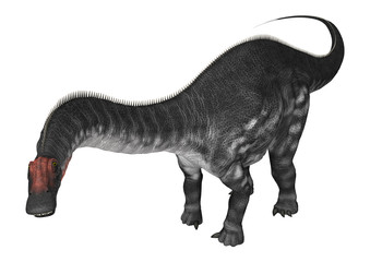 Fototapeta premium Dinosaur Apatosaurus