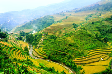 Fototapeta premium Rice fields on terraced of Mu Cang Chai, YenBai, Vietnam. Rice fields prepare the harvest at Northwest Vietnam.Vietnam landscapes.