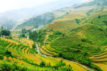 Fototapeta premium Rice fields on terraced of Mu Cang Chai, YenBai, Vietnam. Rice fields prepare the harvest at Northwest Vietnam.Vietnam landscapes.