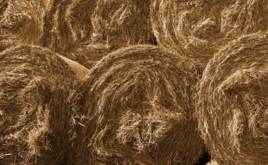 hay bales rolled up sitting on a trailer