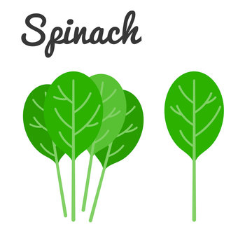 Vector Spinach