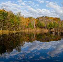 Trees in the Fall Reflecting in a Lake