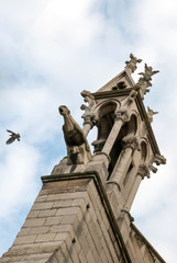Obraz premium A pigeon flys away from a gargoyle statue of Notre Dame