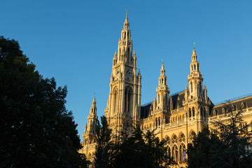Rathaus in Vienna in the Morning
