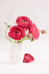 Red ranunculus in a vase