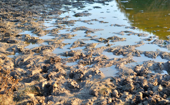 mud