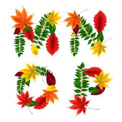 Set of autumn letters composed of beautiful red, yellow, green and orange leaves. Autumn alphabet. M, N, O, P. Set autumn letters. Letters from the leaves.