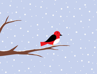 Red robin on a birch in snow