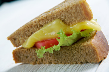 Cheese and tomato sandwich