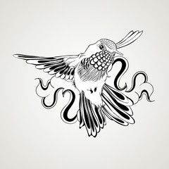 Hand drawn flying humming bird vintage style.