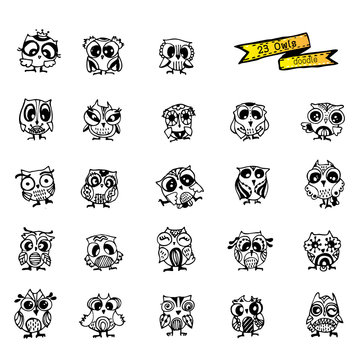 Owls vector, doodle