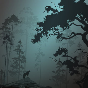 foggy landscape with silhouette of forest, pine trees and wolf, moonlight