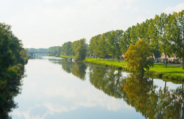Obraz premium Trees along a canal through a residential area