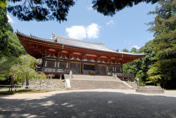 新緑の神護寺金堂