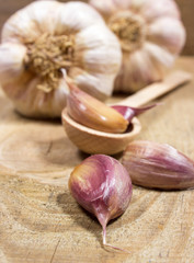 Fresh garlic on board closeup.