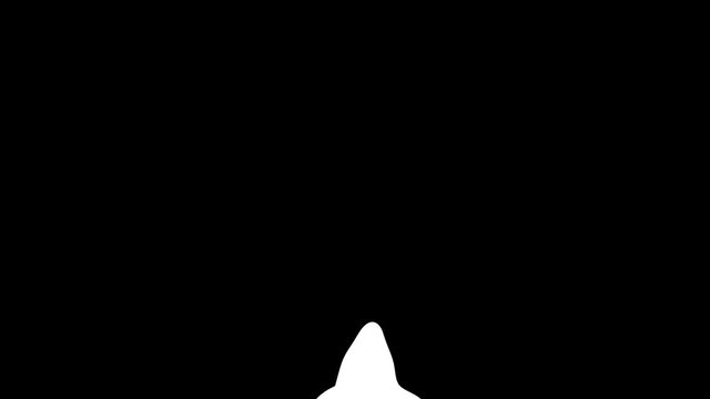 Killer Whale Backflip (with Matte)