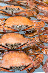steamed crabs