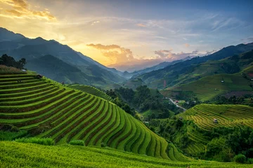 Deurstickers Terrace rice field - Mù Căng Chải District, Yen Bai Province, Vietnam © Chanwit