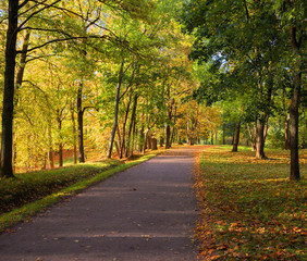 Fototapeta na wymiar View colorful park alley in autumn.