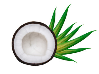 coconut