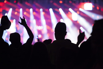 Crowd at concert