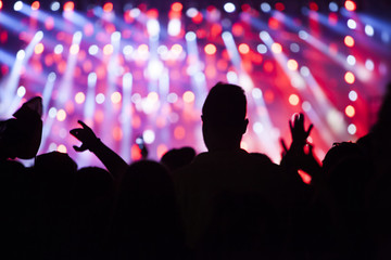Crowd at concert