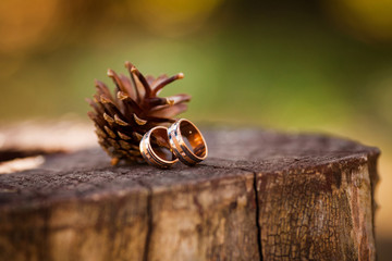 Wedding rings with pine cone on wooden background