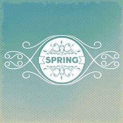 Spring label design on beautiful ornament background. Vector eps10