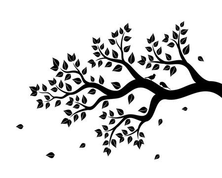 Vector illustration of tree branch with leaves in black color on white background