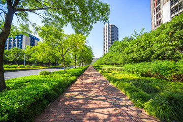walking path in the park with fallen leaves