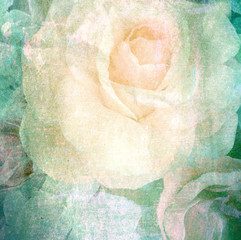 Retro rose on paper texture background