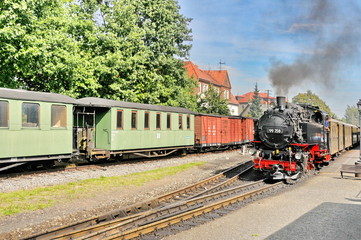 Obraz premium Zittauer Schmalspurbahn, #1154