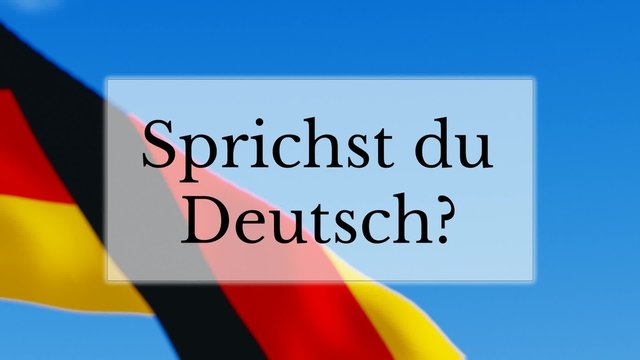 Sprichst du Deutsch text w/ German flag background. Learn German language concept
