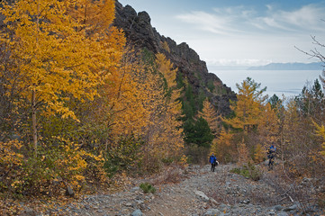 Obraz premium people on the road of the autumn forest